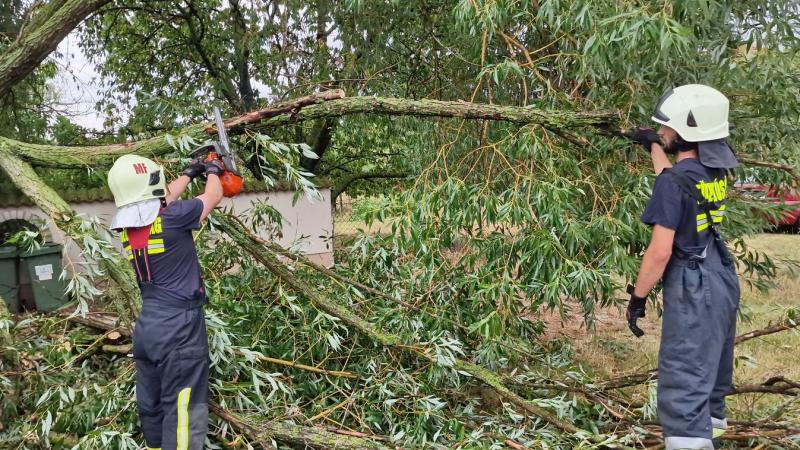 Mezőfalva sem úszta meg a vihar tombolását – egy fa dőlt a villanyvezetékekre és egy parkoló autóra.