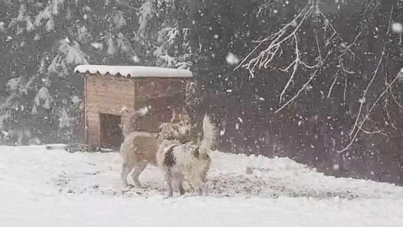 Meglepetés vár ránk vármegyénk időjárásában! A szomszédos területeken már megérkezett a hó! (Képek és felvételek)