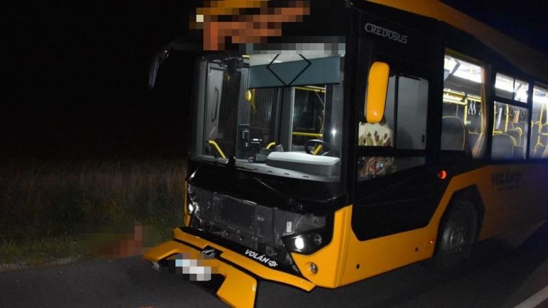 Drámai események az úton: egy busz elgázolt egy őzet.