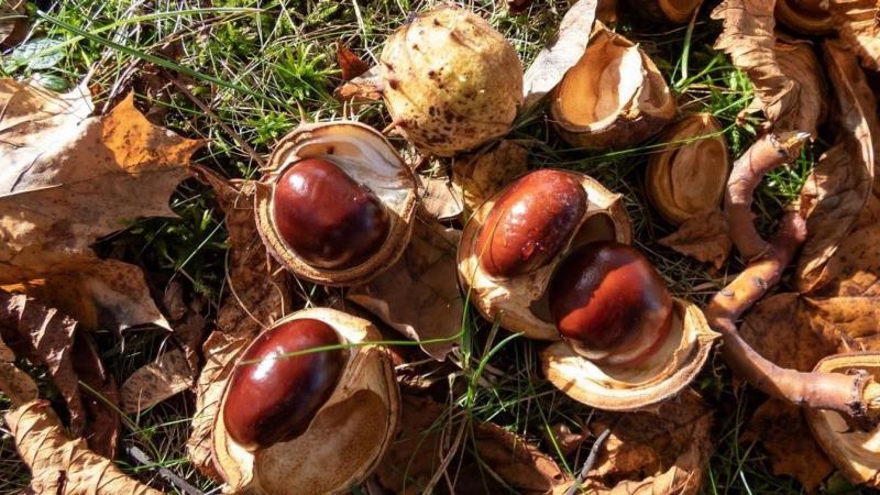 Spórolj intelligensen! Fedezd fel a városban elérhető ingyenes természetes mosószert!