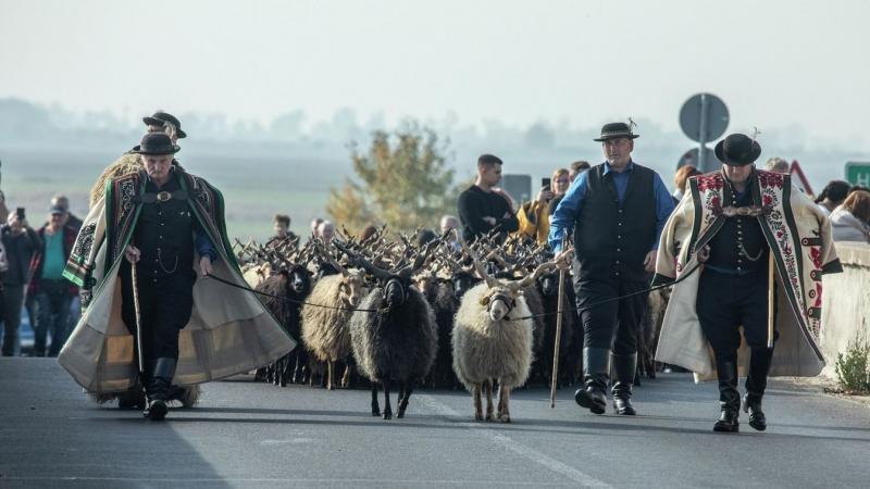 Hajdú-Biharban hamarosan megérkezik az ingyenes programok varázslatos hosszú hétvégéje! Ez a lista olyan vonzó, hogy még a nyár is irigykedve nézne rá!