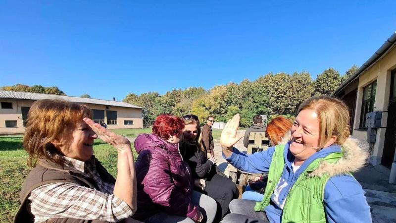 A somogyi tanárok a béke és csend keresésére az erdő mélyébe indultak.