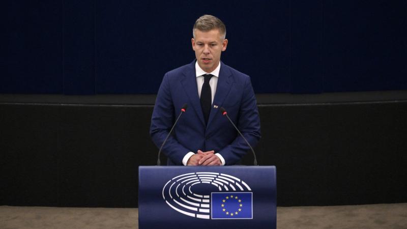 Az uniós törvényhozás nem engedi, hogy Dobrev Klára és Magyar Péter a magyar igazságszolgáltatás elé kerüljenek | Krónika