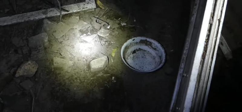 A rendőrök egy hevesi telepen sokkoló felfedezést tettek: kutyatetemek és 58 élő kutya várta sorsát. Az eset felveti az állatvédelmi problémákat és a felelős állattartás fontosságát.